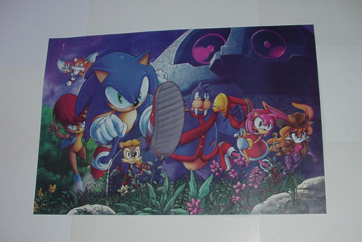 Sonic the Hedgehog Poster #22 Sally Bunnie Rotor