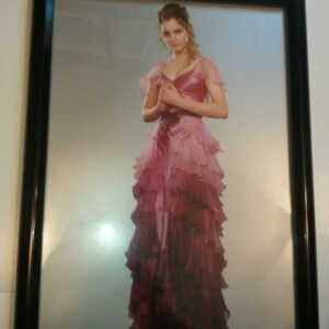 Harry Potter Poster #58 FRAMED Hermione Granger in dress Beautiful Emma Watson! - Bidrevolution Harry Potter Poster #58 FRAMED Hermione Granger in dress Beautiful Emma Watson! - Bidrevolution