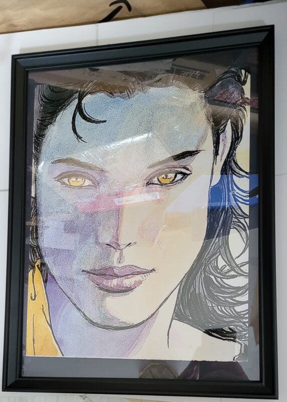 Sandman Pin-up #102 FRAMED What I've Tasted of Desire 2 by Milo Manara Yellow - Image 3